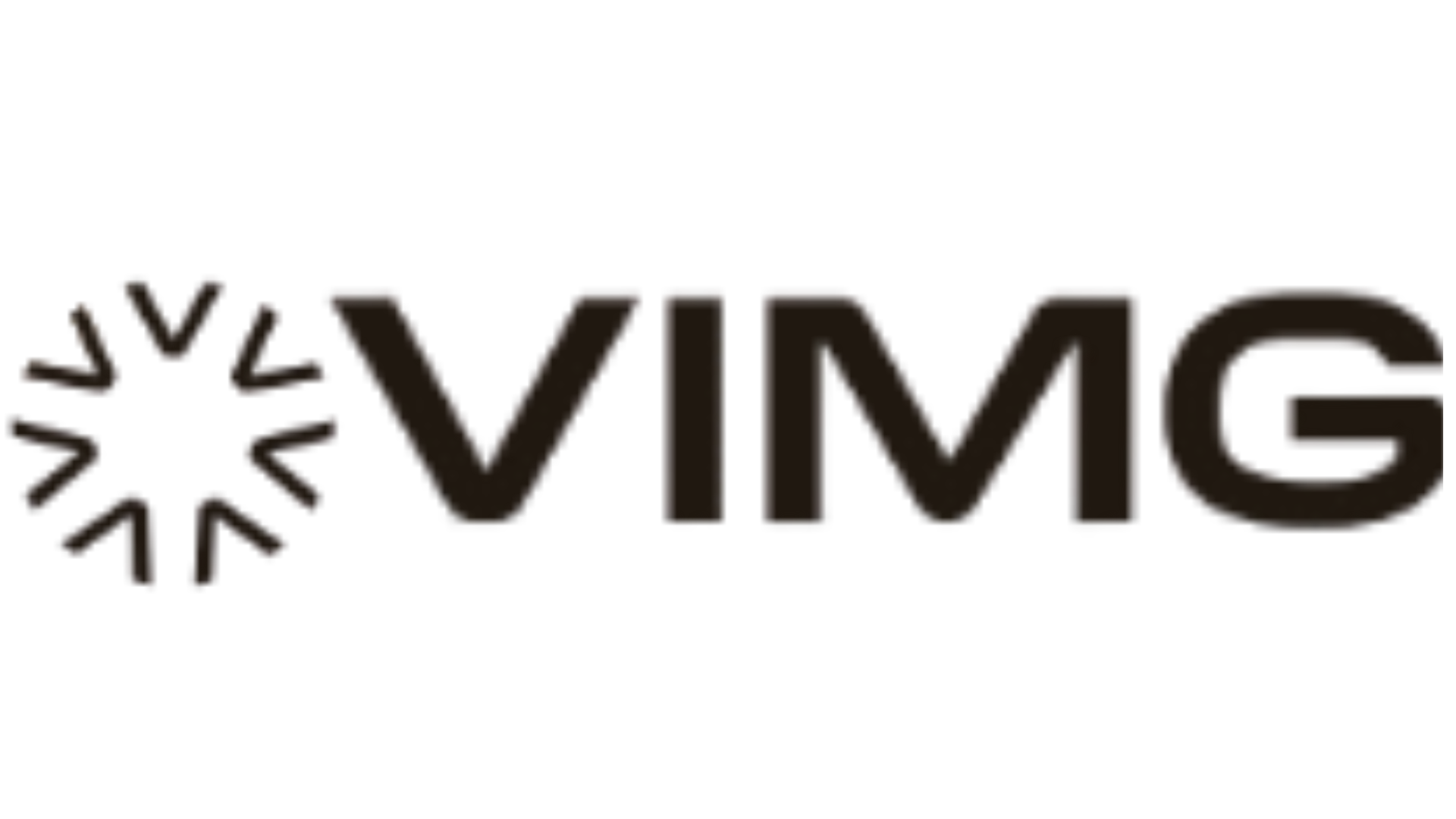 VIGM Developments